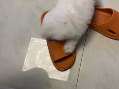 -伟伟宠物医院·CT影像中心·瑞派犬猫综合性门诊(汉口总院)