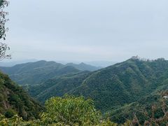 -莫干山风景区