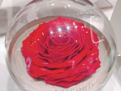 -ROSEONLY诺誓(沈阳万象城店)
