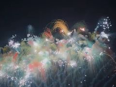 -花博汇(知音花月夜)
