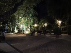 -一粥(华侨城创意文化园店)