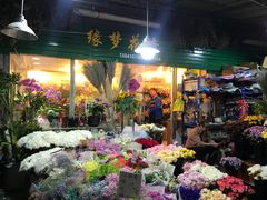 -曲阳花鸟市场(曲阳路店)