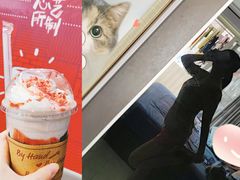 -COSTA COFFEE(西直门店)
