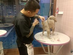 -FAELING PETS美天灵宠物(富力广场店)