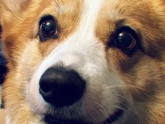 -吕氏疙瘩汤·私家菜馆(慈云寺店)