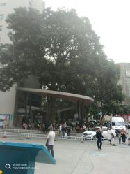 -河南中医药大学第一附属医院·皮肤美容