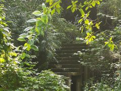 -重庆彩云湖湿地公园