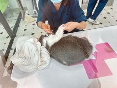 -全心全意动物诊疗中心医院(北苑店)
