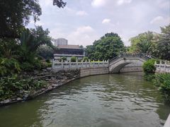 -荔湾湖公园