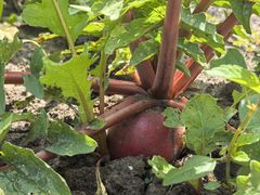 -松浦·观江国际