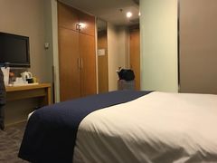 -北京民族园葉子里酒店(鸟巢店)