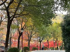 -穹窿山景区