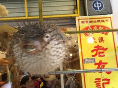 -大澳渔村及棚屋