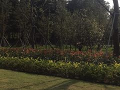 -昆山城市生态森林公园