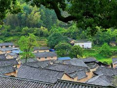 -杨家堂村