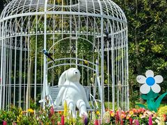 -上海共青森林公园