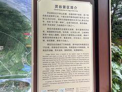-灵谷景区