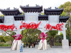 -南汇桃花村