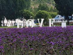 -紫海香堤香草艺术庄园