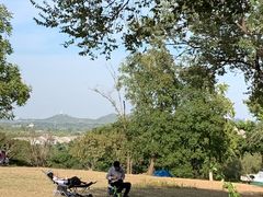 -北京西山国家森林公园