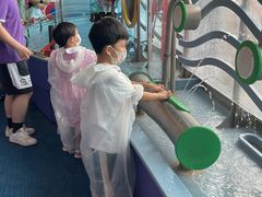 -中国宋庆龄青少年科技文化交流中心