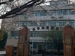 -桃花堤公园