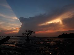 -宝安西湾红树林湿地公园