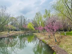 -梁鸿国家湿地公园