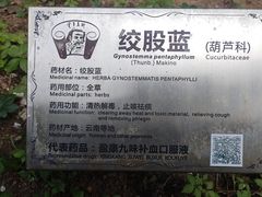 -广州神农草堂中医药博物馆