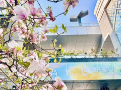 -中粮·祥云小镇