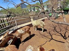 -丽泽山庄·生态怀柔菜·虹鳟鱼(红螺寺店)