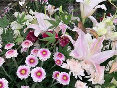 -舟山希尔顿酒店