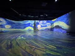-成都梵高星空艺术馆(春熙路旗舰店)