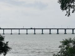 -宝安西湾红树林湿地公园