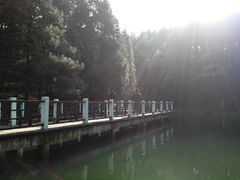 android_upload_pic-四明山国家森林公园