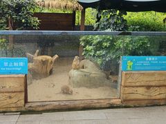 -佛冈森波拉度假区