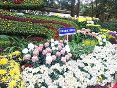 -杭州植物园
