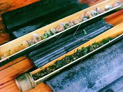 竹筒田螺肉-竹泉农庄·竹筒饭(从化店)
