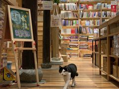 -猫的天空之城概念书店(杭州南宋御街店)