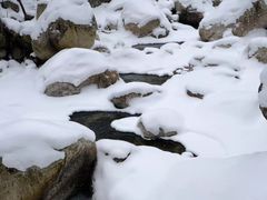 -青峰峡国家森林公园