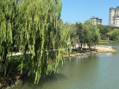 -桐乡植物园