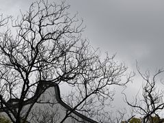 -龙华寺