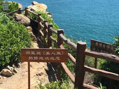 -鹿嘴山庄