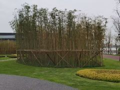 -上海山野camping·户外天幕烧烤·团建拓展营地