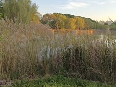 -昆山城市生态森林公园