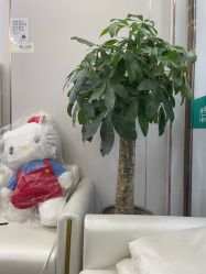 -痘院士专业祛痘皮肤管理