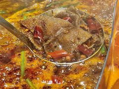 -金龙大四喜牛肉火锅