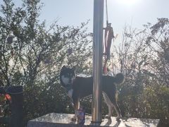 -江西阳明山国家森林公园