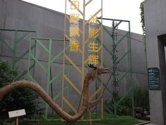 -中国湿地博物馆
