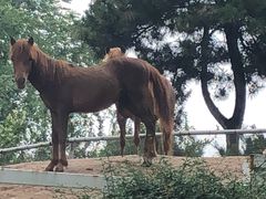 -酷鱼垂钓CLUB(朝阳区博大路店 )